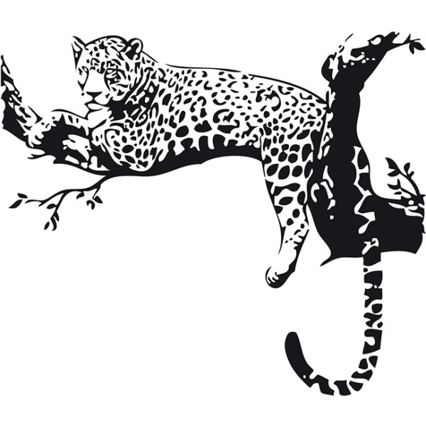 Leopardo su un albero-1936